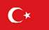 Encuestas de TGM para ganar dinero en Turquía